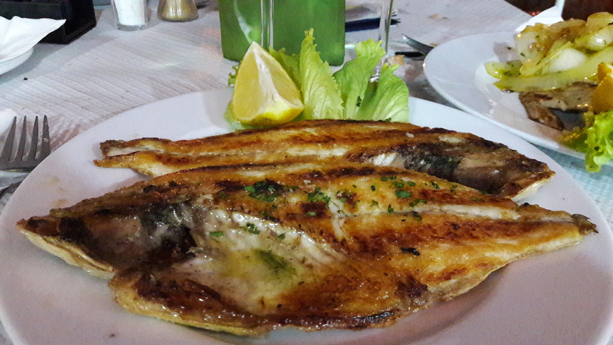 Fish forever