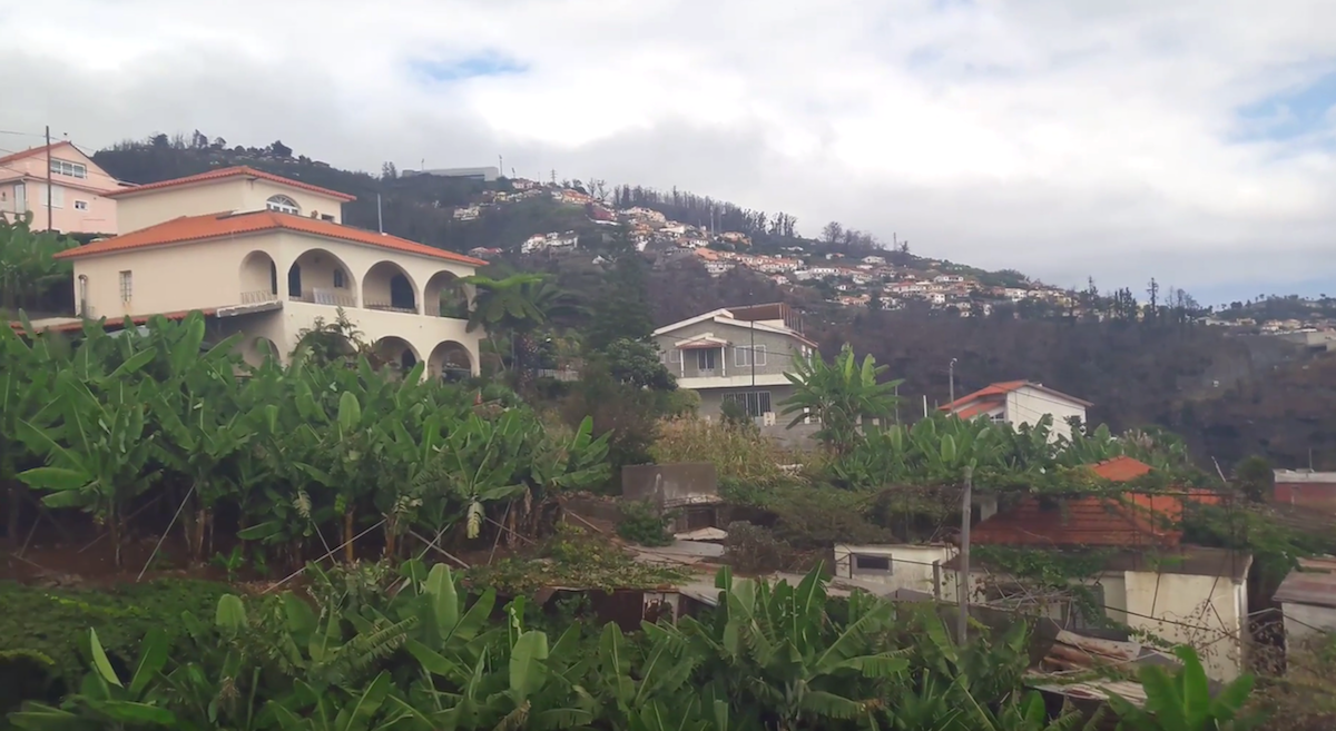 Magic Madeira!